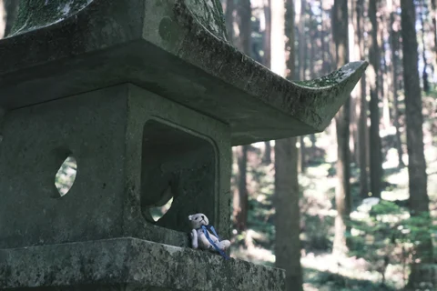 林间的石灯笼