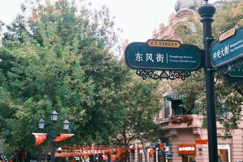 街边的路牌与树林