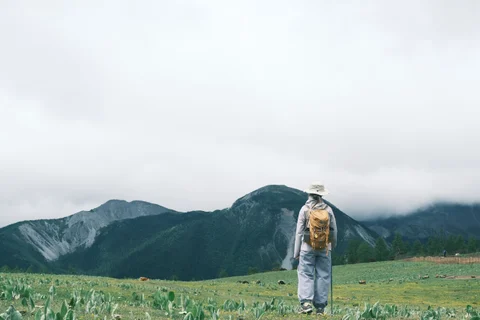草地上远望群山的人